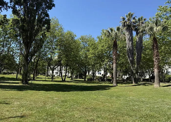 公寓 Sol-y-days Ulysse Plages, Terrasse Panoramique Avec Vue Sur 拉格朗德默特